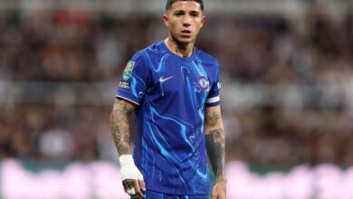 إنزو فيرنانديز