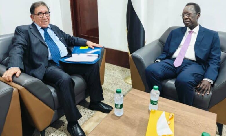 الخبير المستقل لحقوق الانسان يبتدر محادثات في بورتسودان