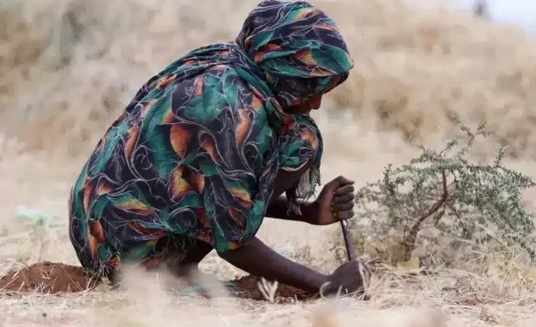 برنامج الأغذية: انخفاض الوصول إلى الجوعى في السودان خلال يونيو