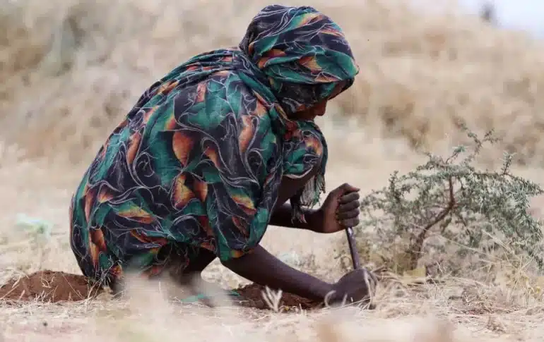 برنامج الأغذية: انخفاض الوصول إلى الجوعى في السودان خلال يونيو