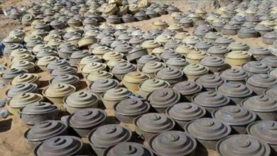 "مسام" يتلف أكثر من 4600 من مخلفات الحرب في أبين ضمن عملية نوعية لتعزيز أمن المدنيين