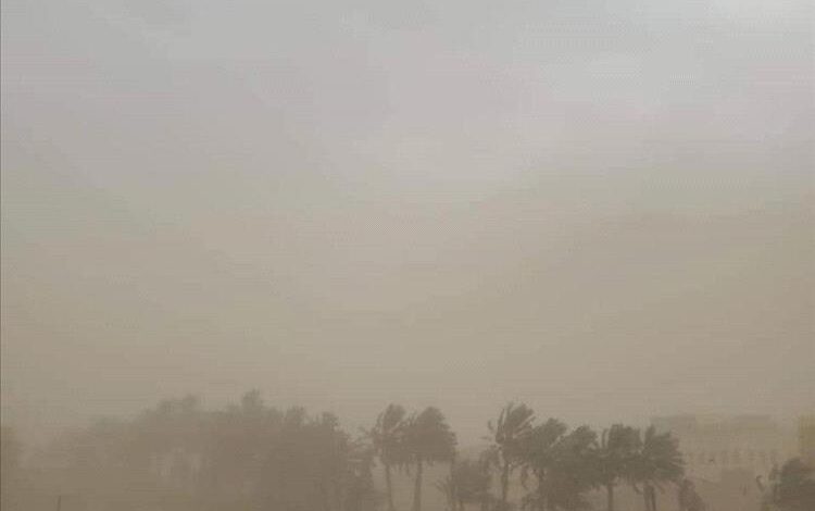 الأمين العام للمجلس المحلي بحضرموت يتابع مستجدات الحالة الجوية ويشدّد على رفع الجاهزية