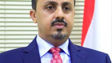الإرياني: صمت المبعوث الأممي على جريمة ريمة يُعد تخليًا عن المبادئ الأخلاقية والإنسانية
