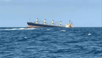 الحكومة تتهم الحوثي باستهداف سفينة الشحن التجارية بالبحر الأحمر