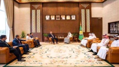 الزُبيدي يبحث مع أمين مجلس التعاون دعم الاستقرار والمؤسسات في اليمن
