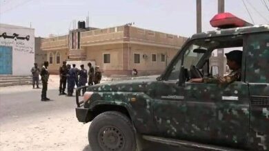 المهرة.. ضبط 129 مطلوبا أمنيا وجنائيا