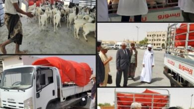 اليمن تدشّن أولى شحنات تصدير المواشي إلى سلطنة عمان عبر منفذ شحن بمحافظة المهرة