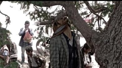 انتحار والد الطفلة أفراح المجنحي بعد أيام من جريمة تعذيبها الوحشي في إب