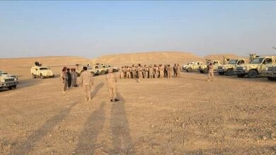 بأسلحة متوسطة ونيران حية.. "حماية الشركات" تنفذ رماية قتالية ناجحة وترفع جاهزيتها لحماية المنشآت النفطية