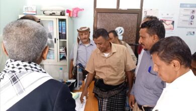 برعاية المحافظ بن الوزير.. تدشين منظومات الطاقة الشمسية في مستشفيات الصعيد وحبان