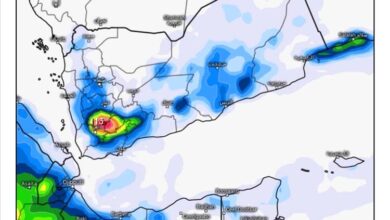 توقعات جوية: أمطار غزيرة مرتقبة على محافظة إب وموسم مطري فوق المعدل في اليمن