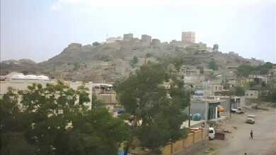 جريمة تهز الضالع: ذبح رضيعة ودفنها في حفرة كلاب خلف مستشفى وسط ذهول شعبي واسع
