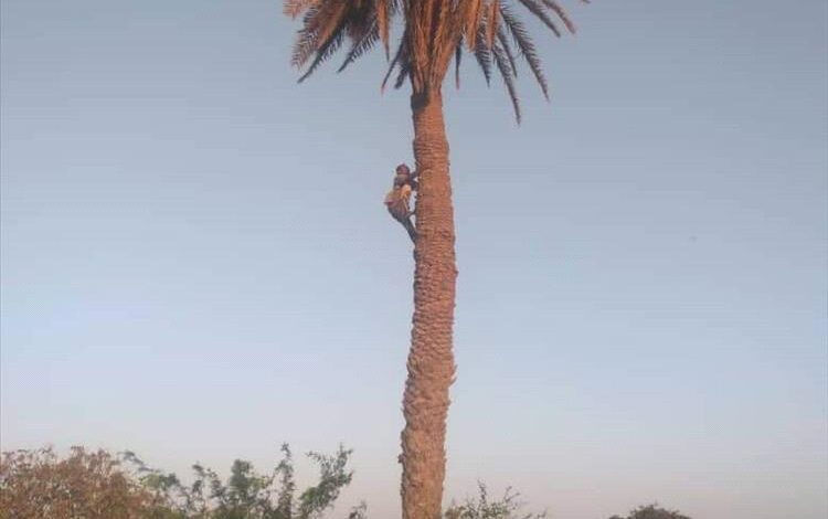 حبيل بن عبدالله.. الأرض الخصبة والتاريخ العريق في لحج