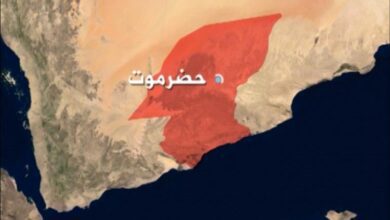 حضرموت تحقق قفزة مالية في إيرادات النصف الأول من 2025 وتُوجّهها لتنفيذ 80 مشروعًا تنمويًا