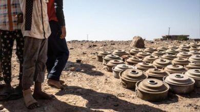 خلال الأسبوع الأول يوليو.. مسام يعلن انتزاع 1559 مادة متفجرة