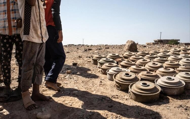 خلال الأسبوع الأول يوليو.. مسام يعلن انتزاع 1559 مادة متفجرة