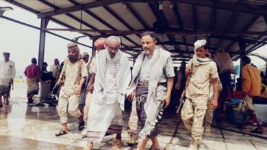 رئيس تنفيذية انتقالي أبين يزور شقرة ويطلع على أوضاع الجمعيات السمكية ومستشفى المدينة