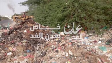 صندوق النظافة والتحسين بأحور ينفذ حملة نظافة لإزالة الأشجار والقمامة من الخط الدائري