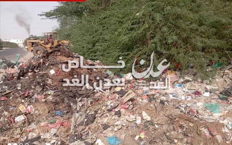 صندوق النظافة والتحسين بأحور ينفذ حملة نظافة لإزالة الأشجار والقمامة من الخط الدائري