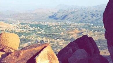 عدد من مشايخ لقموش ورئيس انتقالي شبوة يفشلون في وقف إطلاق النار بمنطقة الخبر