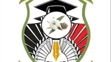 غدًا الثلاثاء.. بدء إجراءات التسجيل والقبول في جامعة أبين للعام الأكاديمي 2025-2026م
