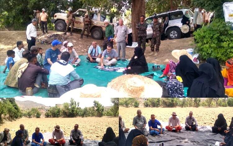 لقاء تقييمي بتعز يستعرض الأثر الإيجابي لمدارس المزارعين الحقلية في تعزيز الإنتاج الحيواني