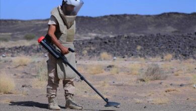 مسام يتلف أكثر من 4600 قطعة من الذخائر غير المنفجرة في أبين