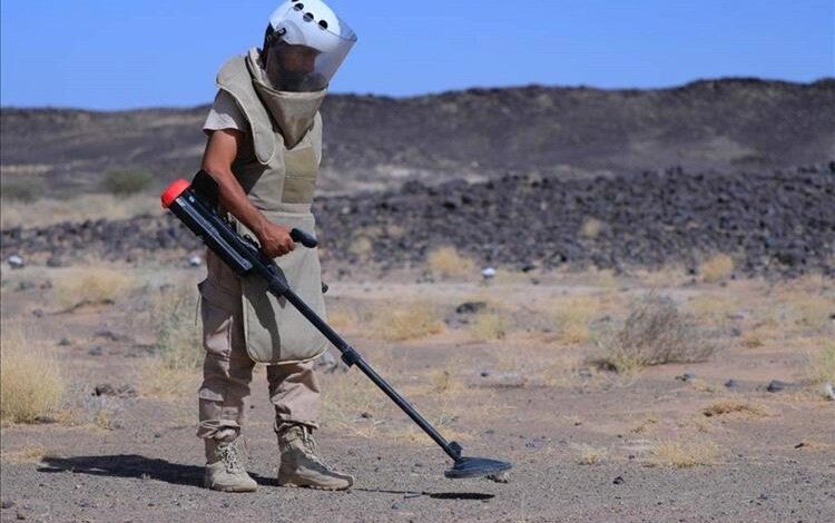 مسام يتلف أكثر من 4600 قطعة من الذخائر غير المنفجرة في أبين