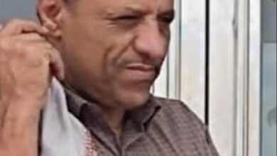 مشروع الطاقة الشمسية في شبوة.. إنجاز عملاق يعكس جهود القيادة ودعم الأشقاء
