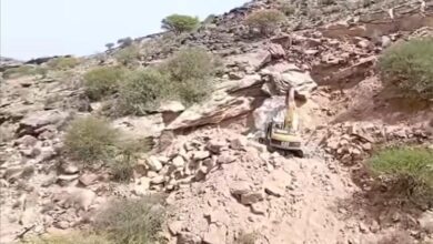 مكتب الآثار في الضالع يدين أعمال تخريب بموقع أثري في الحصين ويطالب بمحاسبة المتورطين