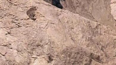نجاة "الثالث".. عملية إنقاذ بطولية لمهاجر إفريقي عالق في جبال شبوة