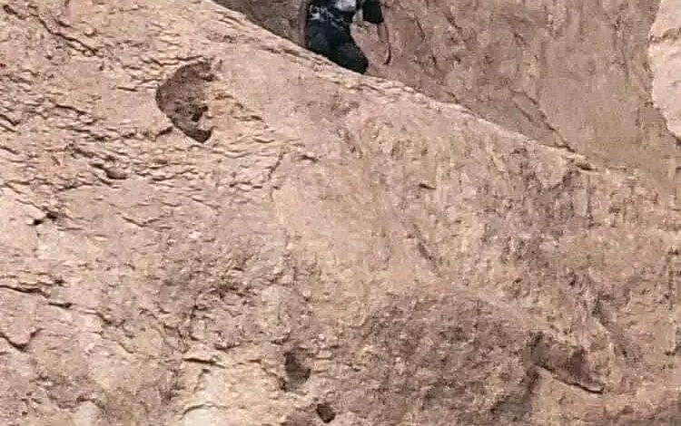 نجاة "الثالث".. عملية إنقاذ بطولية لمهاجر إفريقي عالق في جبال شبوة