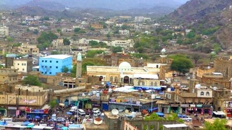 وفاة طفلة إثر عضة كلب مسعور في الضالع