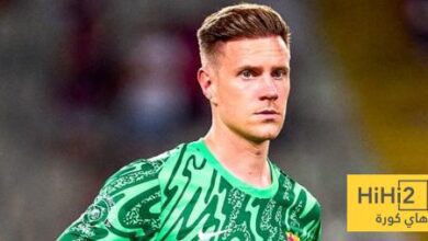 من يرافق شتيغن اثناء سفره الى فرنسا ؟