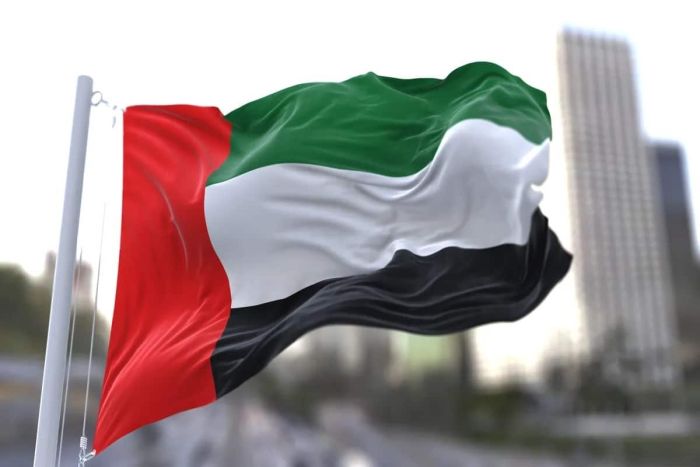 الإمارات تنقذ طاقم سفينة تعرضت للاستهداف في البحر الأحمر