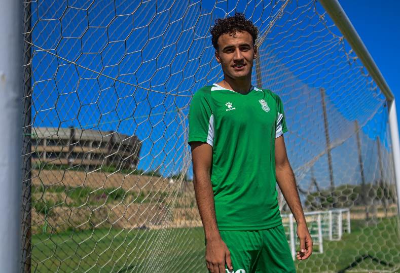 محمود عجيب
