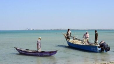 الحديدة.. عودة 53 صياداً يمنياً إلى الخوخة بعد الإفراج عنهم من سجون إريترية