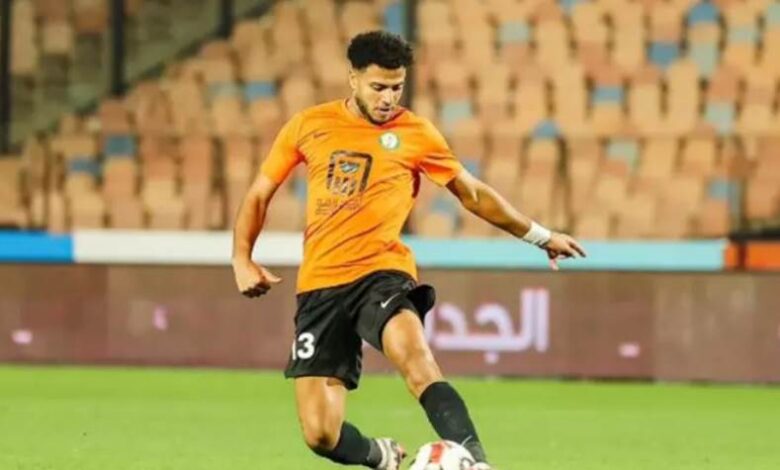 أحمد ربيع