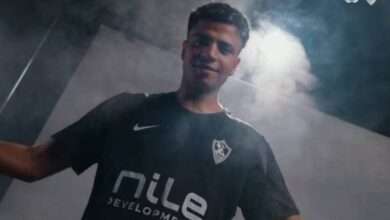 أحمد ربيع