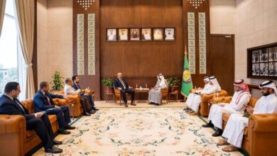 الزُبيدي يؤكد محورية دور دول مجلس التعاون الخليجي في إعادة الاستقرار إلى اليمن