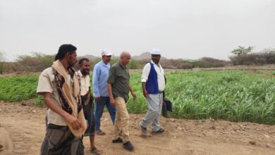 السلطة المحلية في المخا تتفقد مشاريع سبل العيش بتمويل ألماني