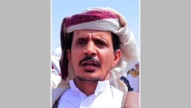 الشيخ عبدالكريم ثوابة: الاعتداء الحوثي على نساء الجوف "عارٌ" يستوجب وحدة القبائل لردعها