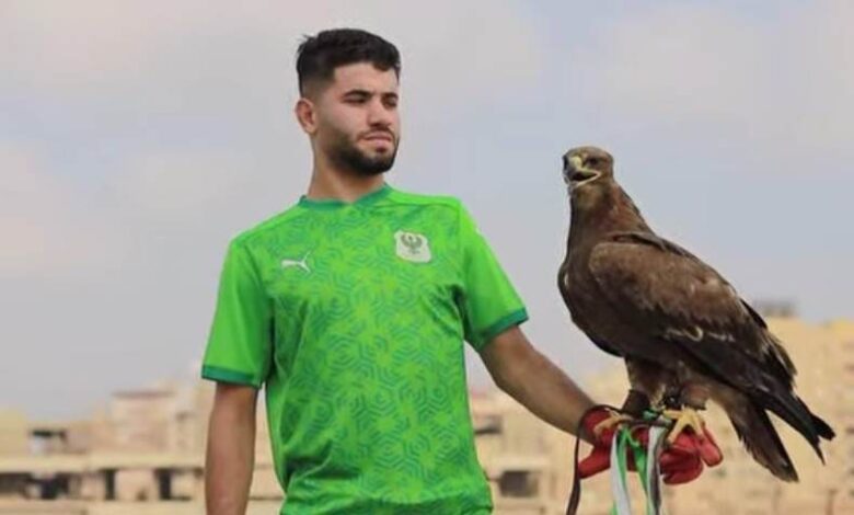 منذر طمين
