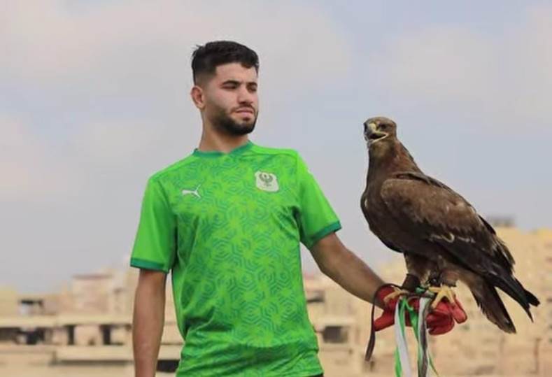 منذر طمين