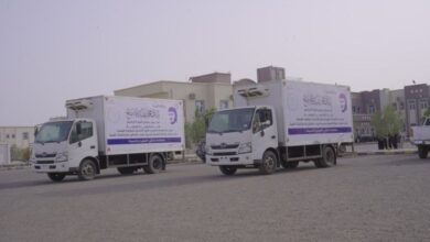 برعاية طارق صالح.. دعم طبي جديد لمواجهة الكوليرا والحُميات في ذو باب المندب