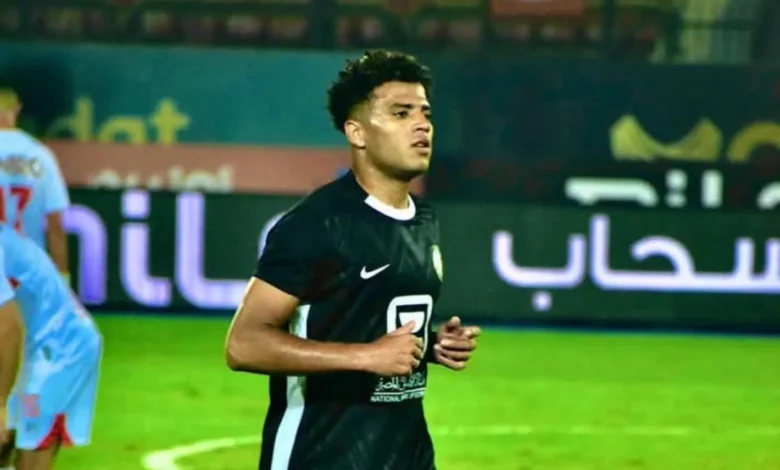 أحمد ربيع
