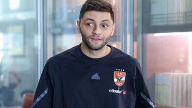 كريم نيدفيد