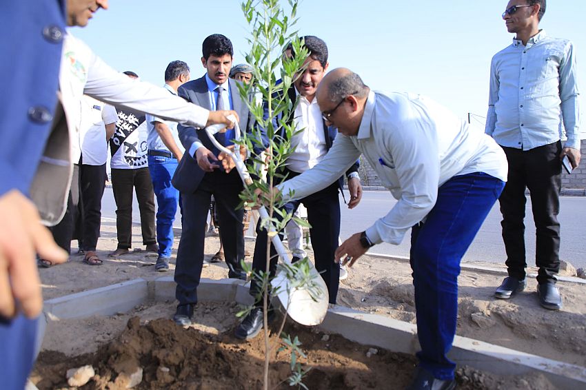 صندوق النظافة بمأرب يدشن المرحلة الثالثة من مشروع التشجير وزيادة المسطحات الخضراء