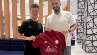 محمود عبد العزيز