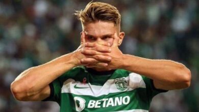 فيكتور جيوكيريس